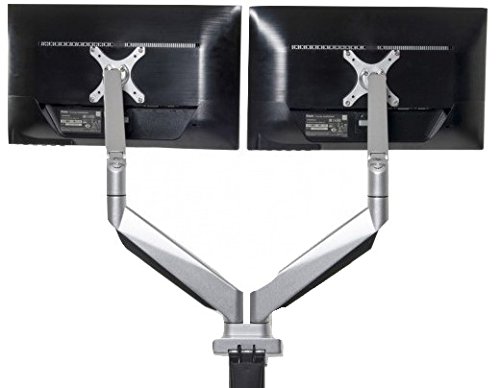 Bakker Elkhuizen BNESO12: Braccio Duale Per Monitor, Supporto Ergonomico Per Schermi Piatti Da 2 A 9 Kg
