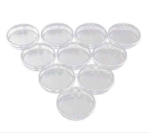 5 Stück Petrischalen Aus Borosilikatglas - 60mm Durchmesser Für Labor