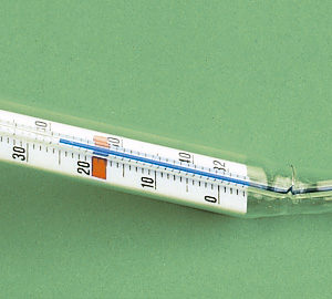 Schalenthermometer